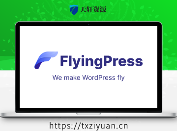 FlyingPress Pro – WordPress网站加速插件