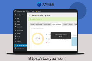 WP Fastest Cache Premium – WordPress页面静态化网页加速插件