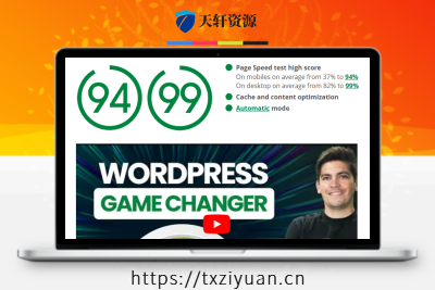 Accelerator Extended for WordPress 网站加速网页加载速度优化插件