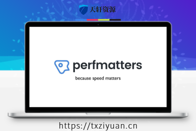 Perfmatters – WordPress网站性能提升轻量级优化系统配置插件