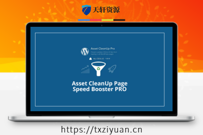 Asset CleanUp Pro – 多功能网站加速性能提升插件