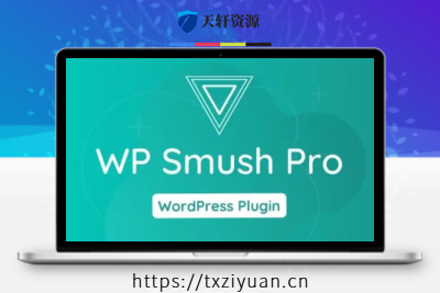 Smush Pro – WordPress网站图片瘦身图像批量压缩Webp生成插件