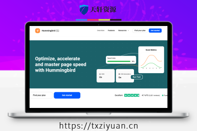 Hummingbird Pro 蜂鸟WordPress缓存JSCSS优化网站加载速度插件
