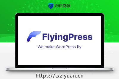 FlyingPress Pro – WordPress网站加速插件